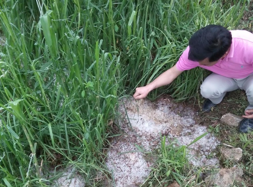 Mưa đá dội xuống Cao Bằng gây thiệt hại gần 7 tỷ đồng - 1