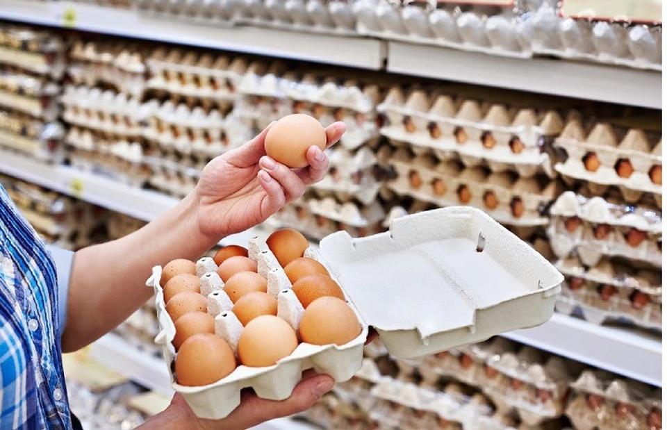 Vi khuẩn gây tiêu chảy Salmonella xâm nhập vào trứng gà như thế nào? - 1 Vi khuẩn gây tiêu chảy Salmonella xâm nhập vào trứng gà như thế nào? - 1
