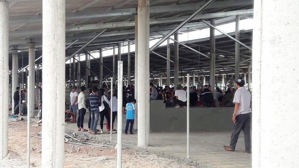 Dân mang hàng trăm miếng dính ruồi đến phản đối trang trại trâu bò - 1 Hàng trăm người dân kịch liệt phản đối trang trại trâu bò của Công ty TNHH Đoàn Kết Phú Quý gây ô nhiễm