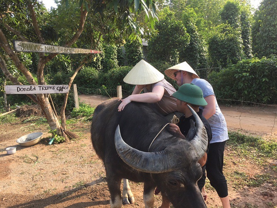 Khách tây hào hứng cưỡi trâu, chăn vịt ở “Vương quốc” hang động - 4 Khách tây hào hứng cưỡi trâu, chăn vịt ở “Vương quốc” hang động - 4