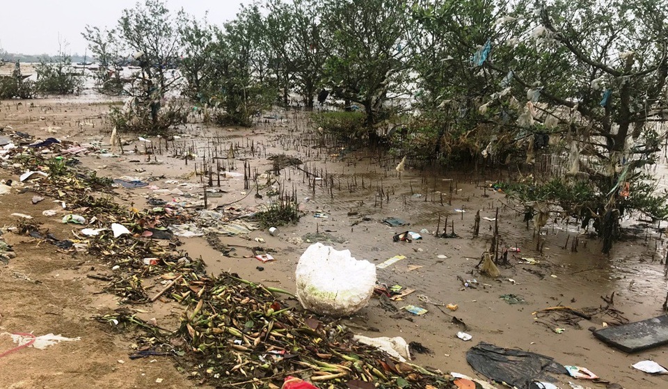  Rác thải bao vây khắp đường ven sông và dưới nước.