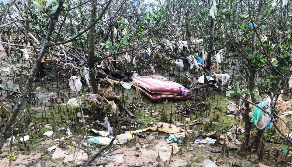 Một chiếc nệm lớn hư hỏng cũng được vứt xuống rừng bần.