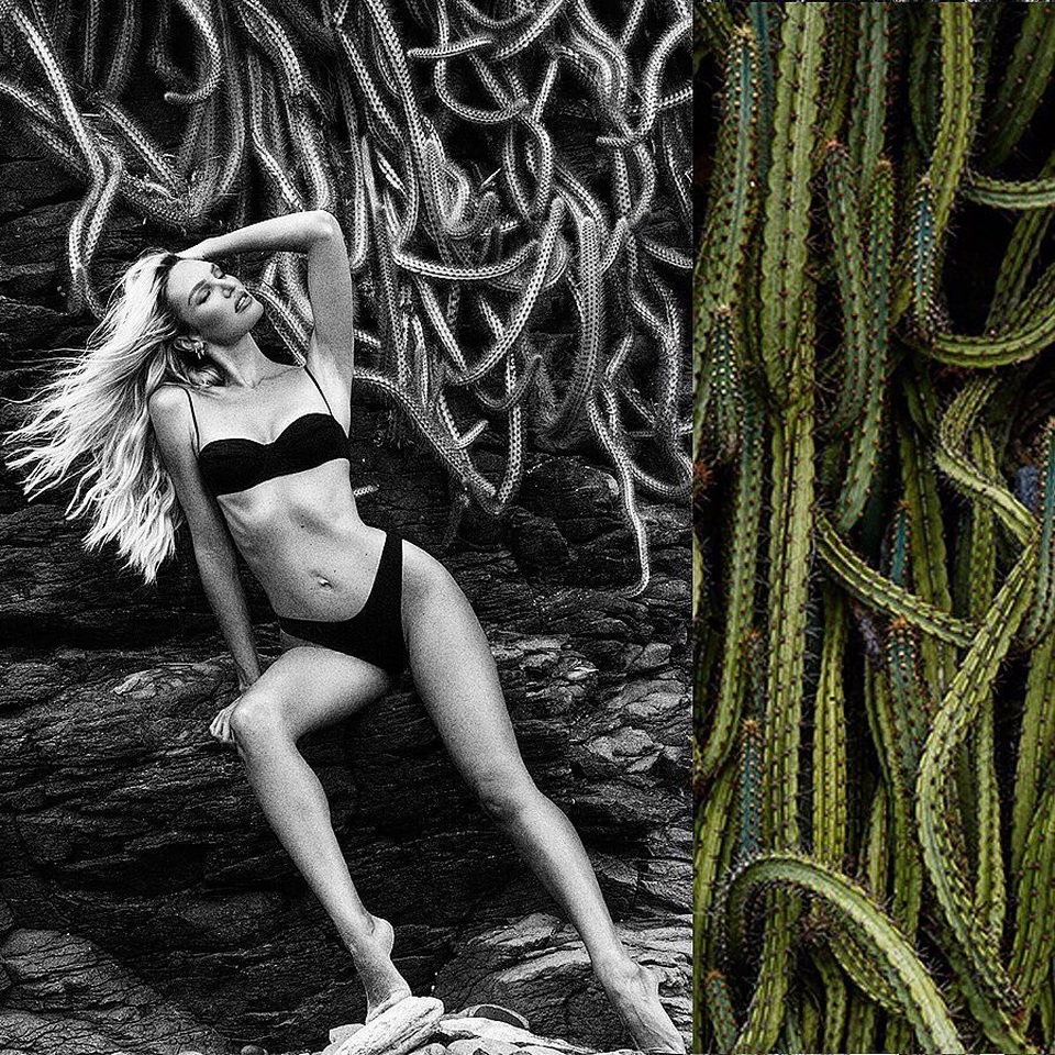 
Người đẹp tóc vàng không bao giờ quên thoa kem dưỡng ẩm, kem dành riêng cho vùng mắt
