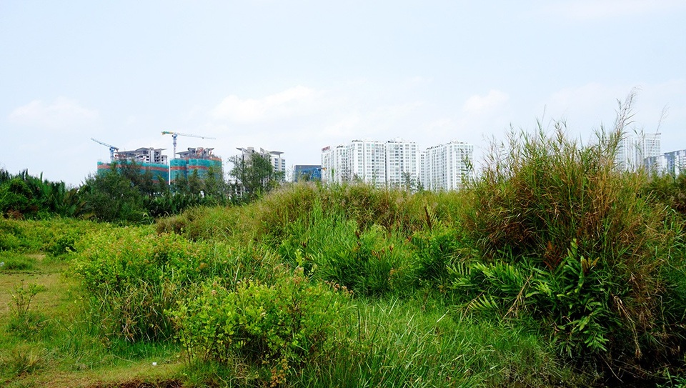 Cận cảnh khu đất "khủng" 30 ha, giá "bèo" khiến dư luận "dậy sóng" - 5 Cây cỏ mọc um tùm bên trong khu đất.