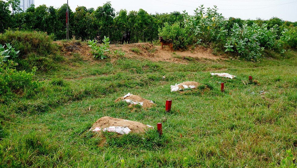 Cận cảnh khu đất "khủng" 30 ha, giá "bèo" khiến dư luận "dậy sóng" - 4 Những ngôi mộ vẫn chưa được dời đi bên trong khu đất 30ha.