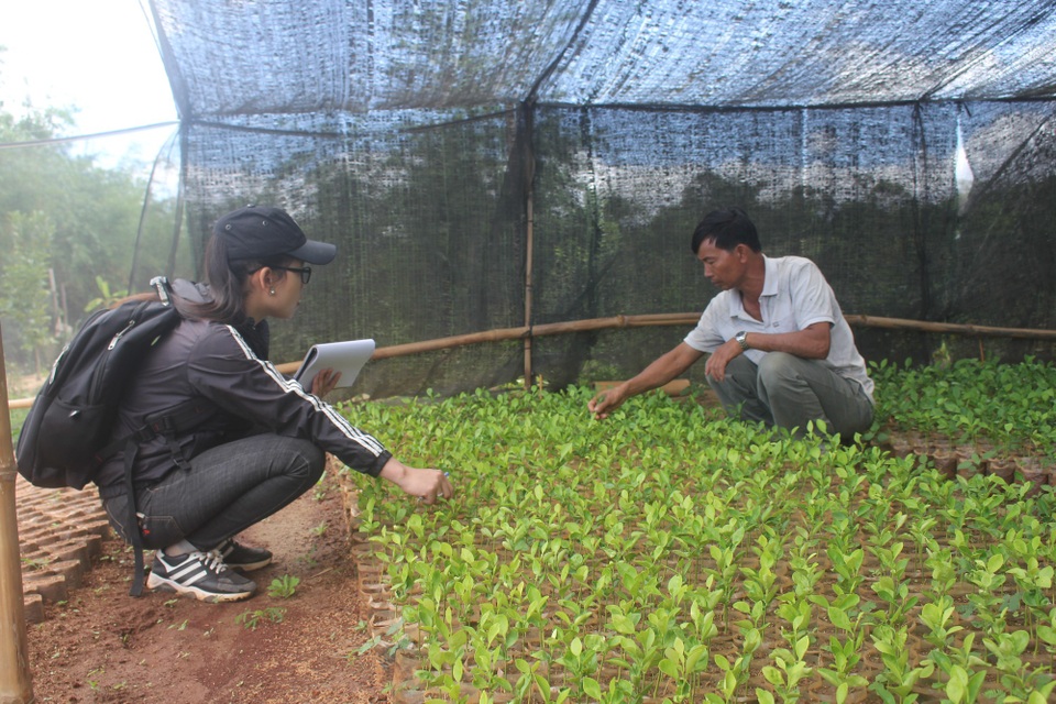 Lão nông "đút túi" nửa tỷ đồng mỗi năm từ vùng "đất chết" - 3 Lão nông đang từng bước xây dựng Kon Gang thành vùng trồng trái cây an toàn và sạch