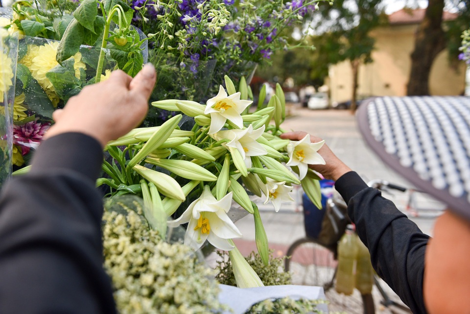 Mùa hoa loa kèn thường bắt đầu từ cuối tháng 3 và kéo dài đến hết tháng 4