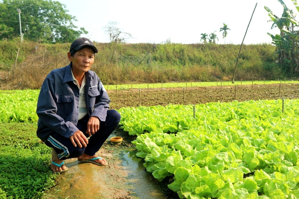 Mỗi tháng thu vài chục triệu đồng nhờ trồng rau an toàn - 1
Với 2.000m² đất sản xuất rau an toàn đã mang lại nguồn thu nhập cao cho gia đình ông Năm.