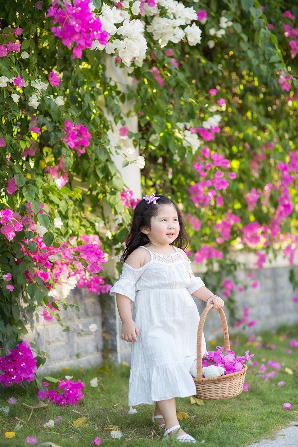 Ngày nắng đẹp bên giàn hoa giấy của "thiên thần nhí" Mimi - 3 Ở nhà, Mimi giống như bà quản gia, không chuyện gì bé không để ý, liên tục hỏi mẹ ríu rít không ngừng. Bé cũng đưa ra chủ kiến riêng của mình trong từng vấn đề, đặc biệt là những chuyện cá nhân của bé.