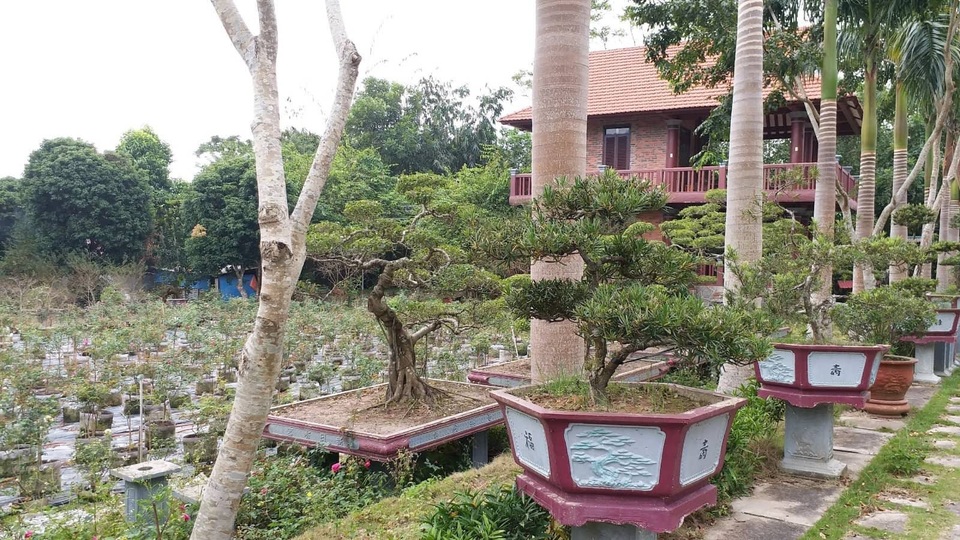 Đột nhập biệt phủ "hoành tráng nhất Quảng Ninh" trên đất rừng - 8
Một góc khác của khu biệt phủ rộng hàng chục ha.