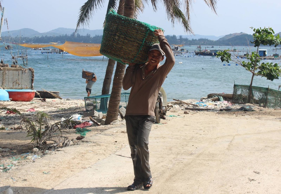 Người nuôi tôm phấn khởi, đội những giỏ tôm hùm nặng để xuất bán cho tư thương