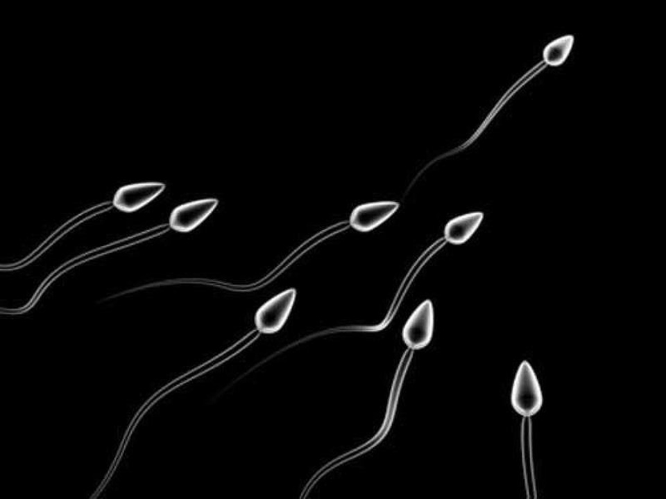 Người đàn ông phát hiện mình bị vô sinh sau khi cưới vợ và có đến chín người con. Ảnh: Science