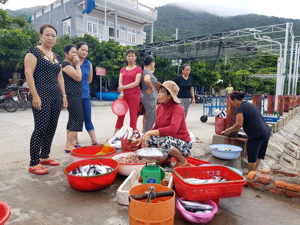 Những điểm đến ở Cù Lao Chàm mà du khách không nên bỏ qua - 12 Hải sản tươi sống trên bến cảng. Du khách có thể lựa chọn thoải mái