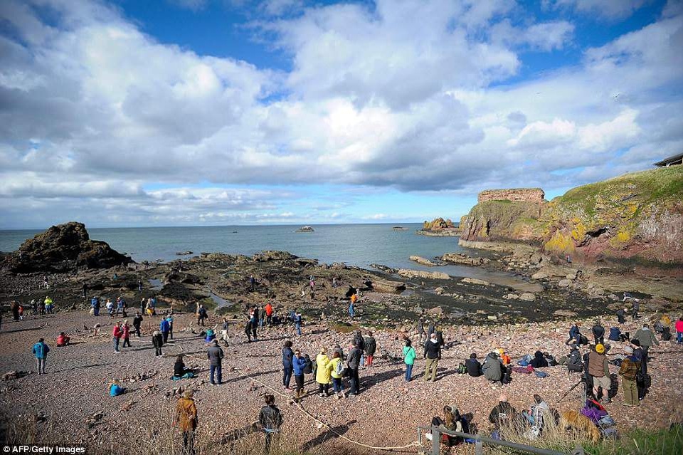 Sửng sốt xem nghệ sĩ “thiền” với đá sỏi - 8 Những người tham gia dự thi và các khán giả cùng tập trung bên bờ biển của thị trấn Dunbar.