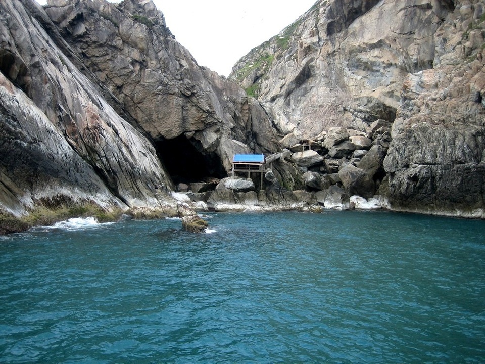 Những điểm đến ở Cù Lao Chàm mà du khách không nên bỏ qua - 9 Khám phá nơi những con chim yến làm tổ. Tổ yến sào ở Cù Lao Chàm có chất lượng cao