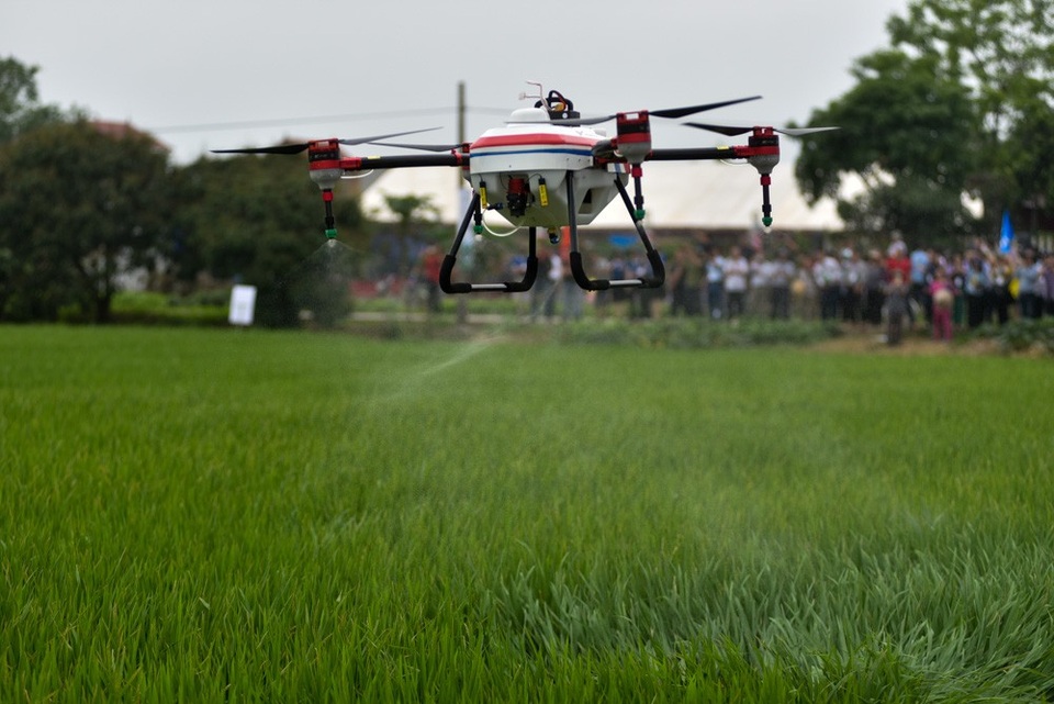Máy bay không người lái trình diễn phun thuốc trừ sâu ở Bắc Ninh - 12
Hai chiếc drone trình diễn khả năng phun thuốc trừ sâu trên đồng lúa ở Bắc Ninh, thu hút khá nhiều người theo dõi.