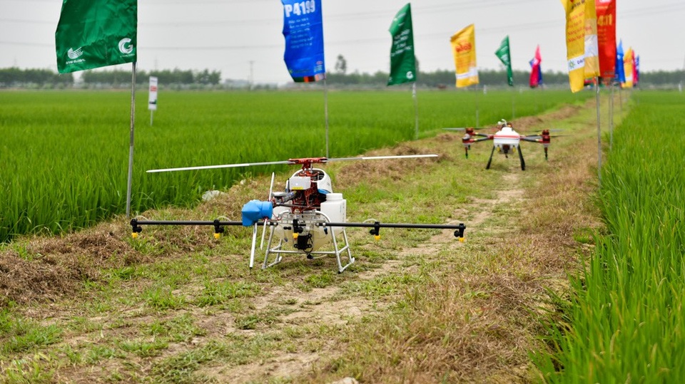 Máy bay không người lái trình diễn phun thuốc trừ sâu ở Bắc Ninh - 1
Hai chiếc máy bay không người lái (drone) vừa được thử nghiệm khả năng phun thuốc trừ sâu trên đồng lúa ở Bắc Ninh. Được biết, hai chiếc drone này do một đơn vị hoạt động trong lĩnh vực nông nghiệp nhập từ nước ngoài về Việt Nam với mục đích thử nghiệm công cụ hỗ trợ làm nông nghiệp hiện đại.