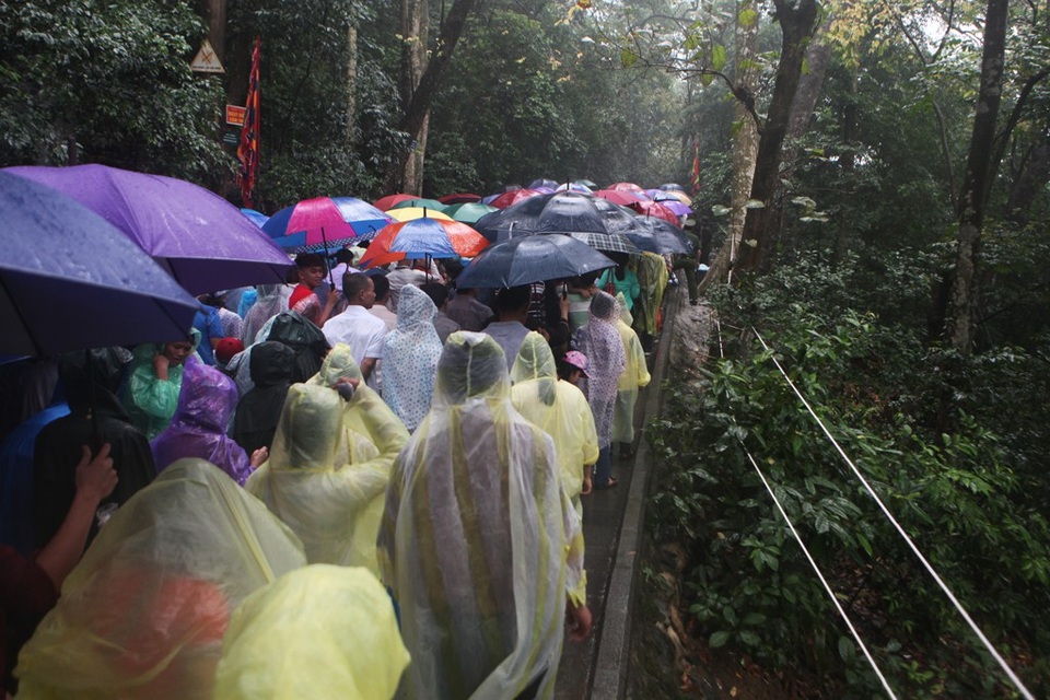 Hàng vạn người đội mưa về Đền Hùng dự quốc giỗ - 8 Hàng vạn người đội mưa về Đền Hùng dự quốc giỗ - 8