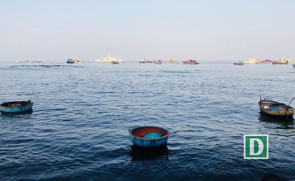 Lý Sơn: “Biển trời bao la, đẹp như gấm hoa” - 3 Lý Sơn: “Biển trời bao la, đẹp như gấm hoa” - 3