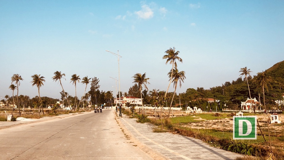 Lý Sơn: “Biển trời bao la, đẹp như gấm hoa” - 9 Những cánh đồng tỏi mênh mông