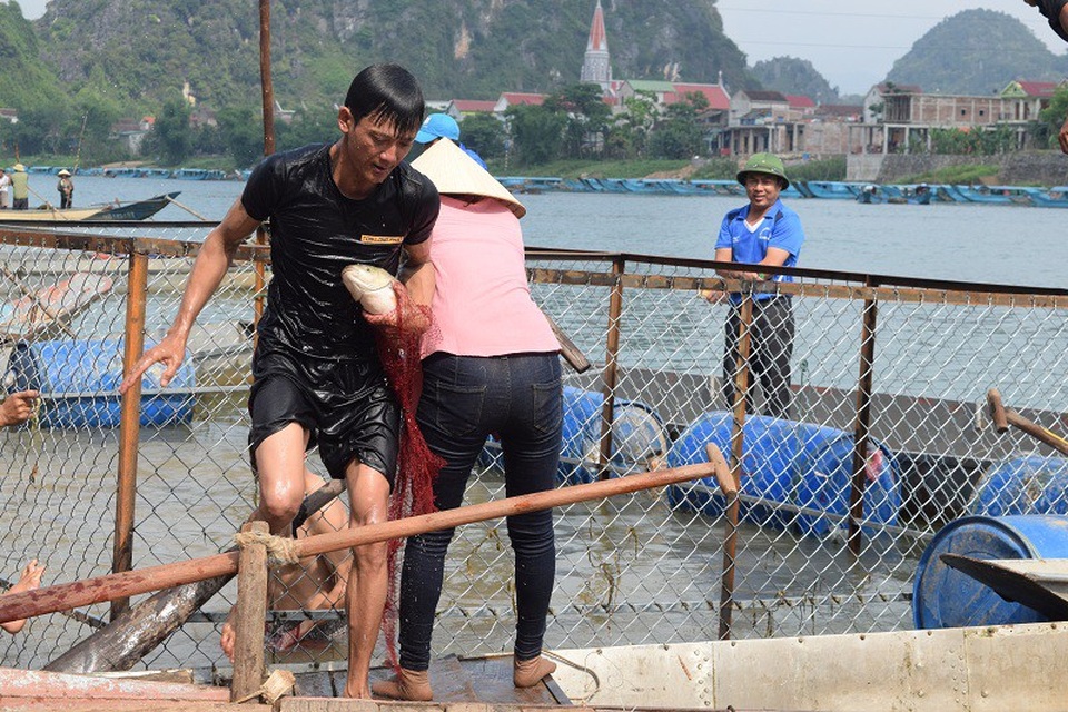 Rộn ràng hội thi cá trắm, đua thuyền ở di sản Phong Nha - Kẻ Bàng - 7