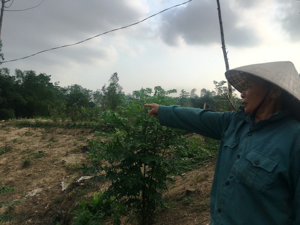 Dự án bò sữa nghìn tỷ: Dân “nhấp nhổm” trên chính mảnh đất của mình! - 2 Bà Nguyễn Thị Chinh xót xa trước cảnh xơ xác khu đất hiện tại của gia đình