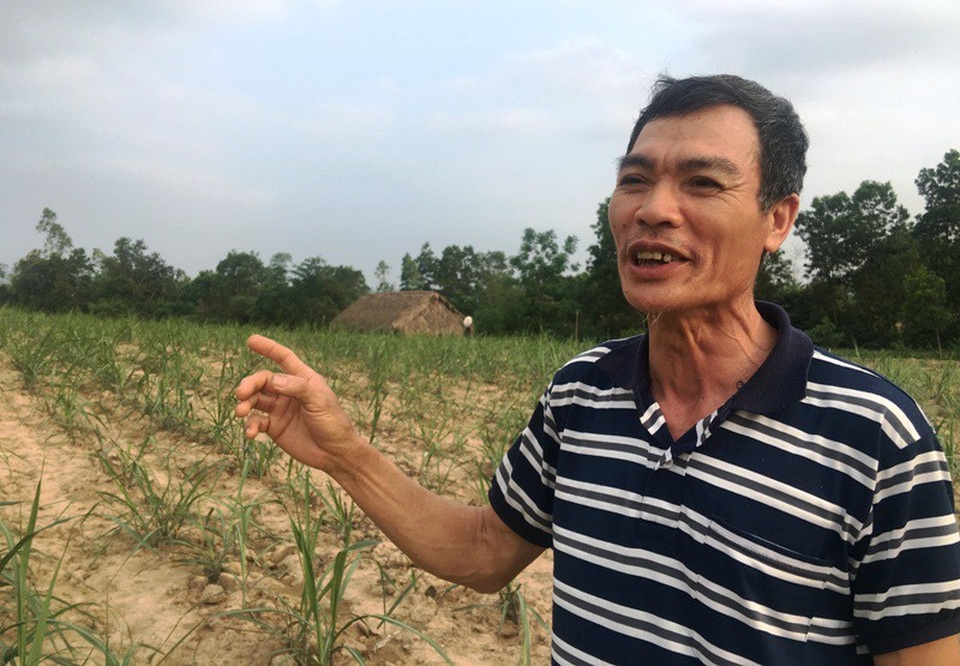 Dự án bò sữa nghìn tỷ: Dân “nhấp nhổm” trên chính mảnh đất của mình! - 6 Ông Trần Thế Thảo lo lắng trước những thông tin về dự án