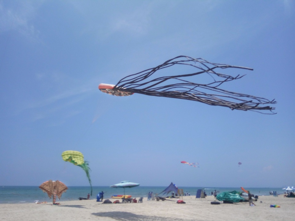 Rực rỡ sắc diều bay trên bầu trời Đà Nẵng - 1 Lễ hội diều đang diễn ra ở Công viên Biển Đông - Đà Nẵng dự kiến kéo dài đến hết ngày 30/4