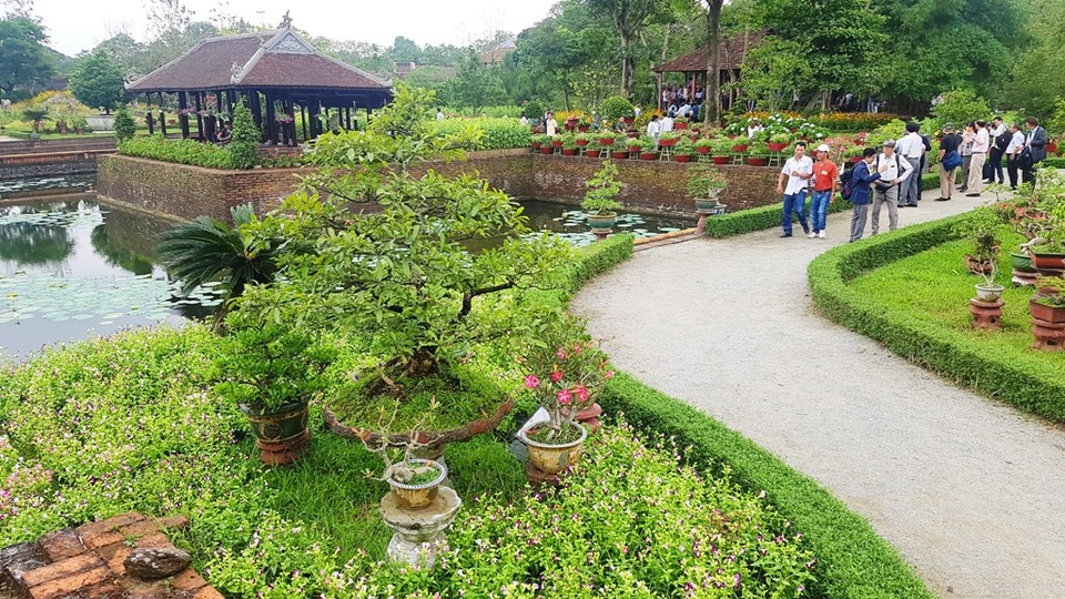 Hơn 1.000 cây kiểng, phong lan tỏa hương sắc tại Hoàng cung Huế - 10 Một khung cảnh nên thơ tràn đầy hoa lá và cây kiểng quý từ cả nước đưa về. Lúc xưa, vườn thượng uyển của vua Nguyễn cũng là nơi tập trung nhiều loại cây quý hiếm cho hoàng gia thưởng ngoạn