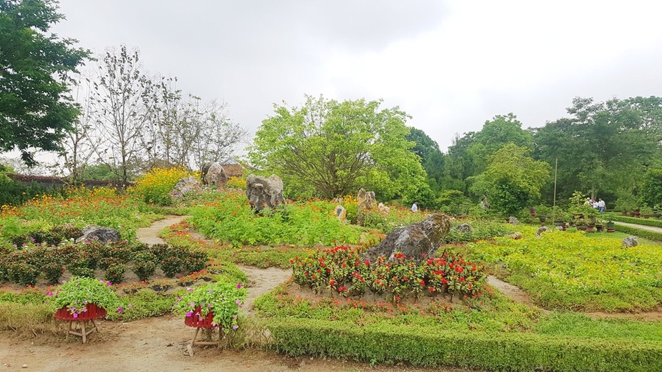 Hơn 1.000 cây kiểng, phong lan tỏa hương sắc tại Hoàng cung Huế - 5 Những tiểu cảnh rất đẹp mắt