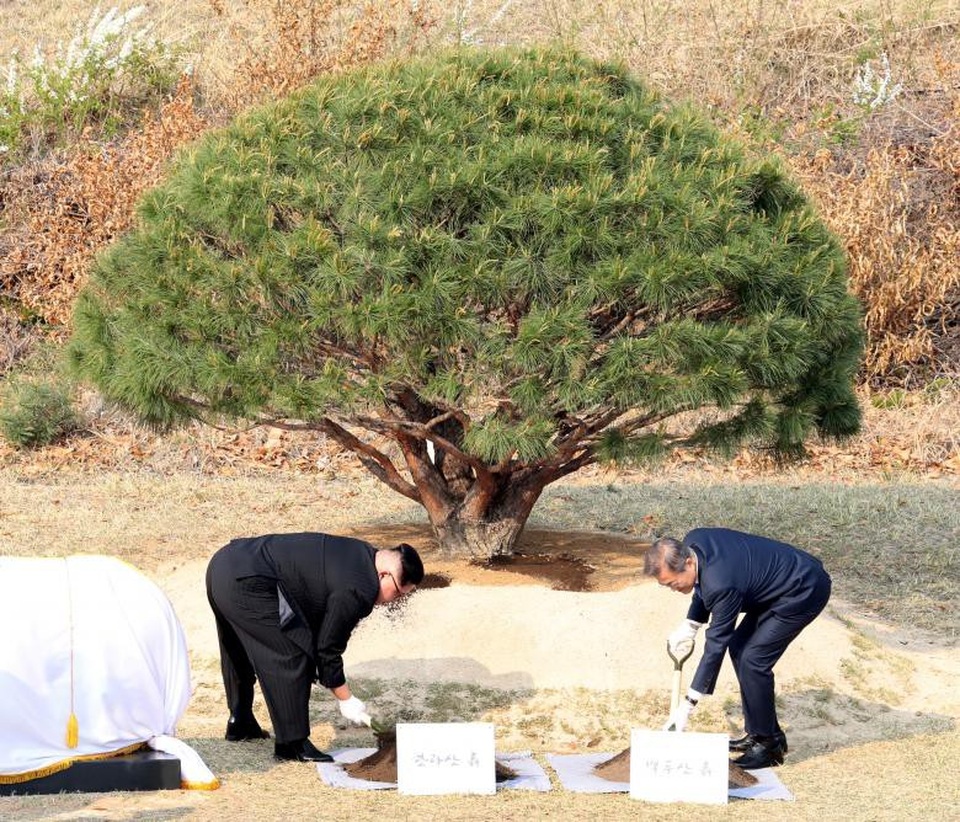 Những hình ảnh ấn tượng trong cuộc gặp lịch sử Hàn - Triều - 18 Ông Kim Jong-un và ông Moon Jae-in trồng cây thông lưu niệm tại làng đình chiến Panmunjom.