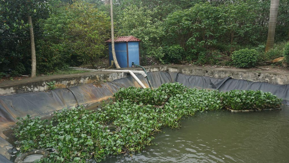 Công ty môi trường bị tố xả thải bẩn ra môi trường - 2
Nước từ phân bùn bể phốt sau khi được xử lý sẽ đưa ra bể chứa này để từ đó bơm ra môi trường.