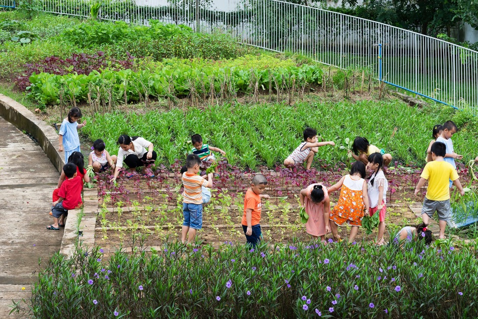Sự đô thị hóa nhanh đã lấy đi của trẻ em Việt Nam không gian, cây xanh và khu vui chơi. Nhà trẻ “Farming Kindergarten” được xây dựng ngay cạnh nhà máy giày lớn và được thiết kế cho 500 con em công nhân của nhà máy, công trình này được thiết kế như một mái nhà xanh nhằm cung cấp thực phẩm và giáo dục trẻ em về tầm quan trọng của nông nghiệp cũng như tăng diện tích vui chơi cho trẻ.