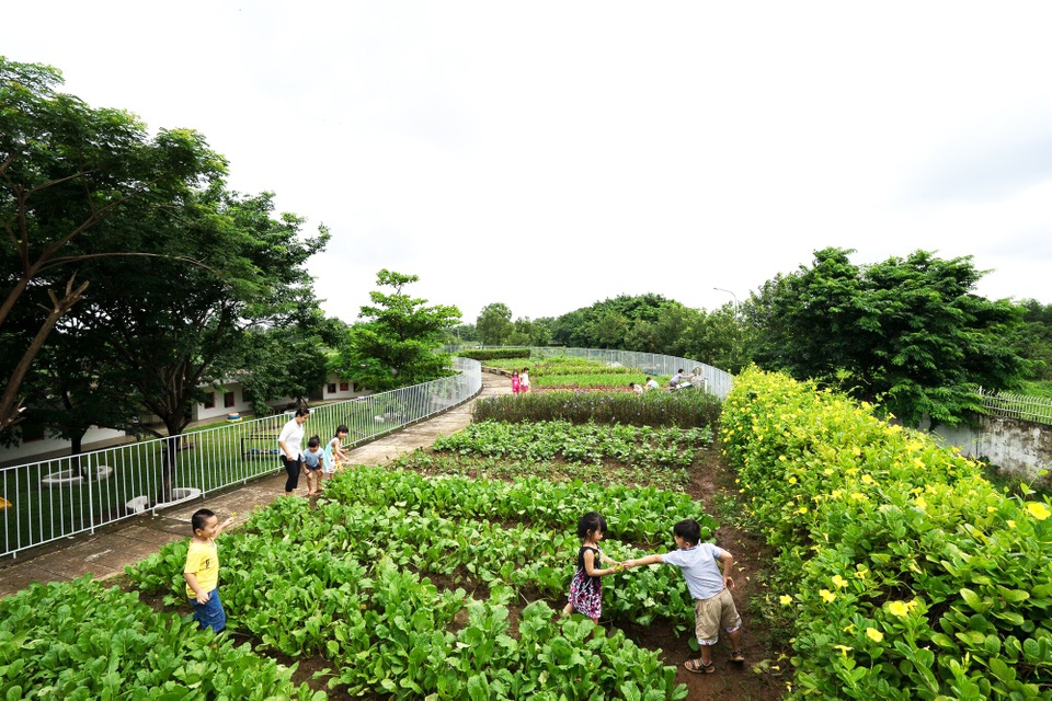 Vì phần mái thấp dần xuống đến sân nên có thể đưa học sinh và giáo viên đi tới khu vực cao hơn và những khu vườn nằm trên mái nơi trẻ em học được tầm quan trọng của nông nghiệp và có sự kết nối trở lại với thiên nhiên.