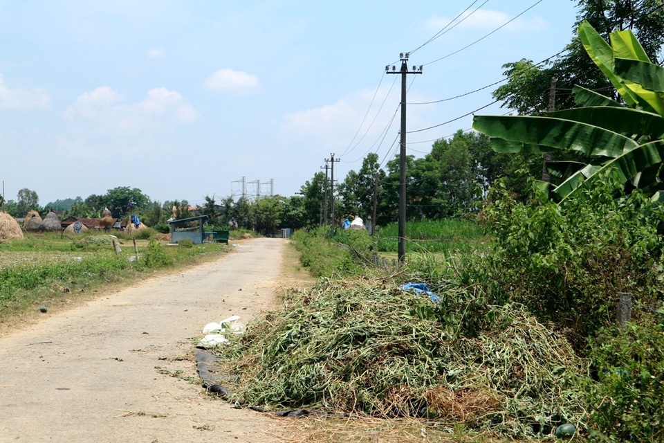 Quảng Nam: Dưa hấu được mùa được giá, dân vẫn lo - 6 Dọc theo các ngả đường dẫn vào các ruộng dưa thuộc các xã, thị trấn tại Phú Ninh, những đống dưa chờ thương lái đến mua