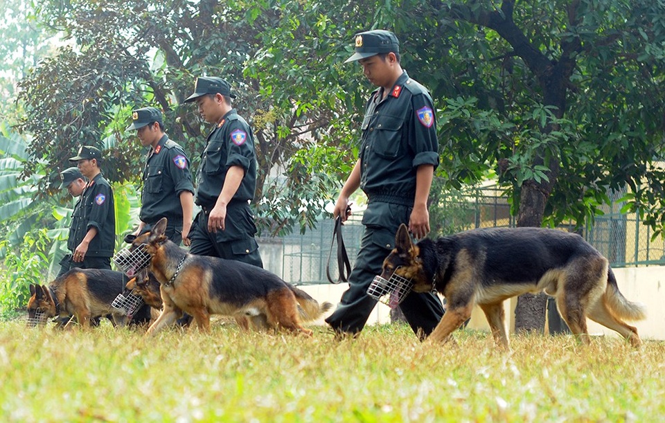 Những “chiến sĩ” đặc biệt trong đơn vị trấn áp tội phạm - 9
Trong nhiều chuyên án lớn của Công an Thành phố Hồ Chí Minh, không thể thiếu sự tham gia của các chú chó nghiệp vụ.