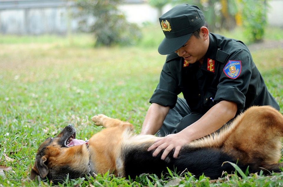 Những “chiến sĩ” đặc biệt trong đơn vị trấn áp tội phạm - 11 Những “chiến sĩ” đặc biệt trong đơn vị trấn áp tội phạm - 11