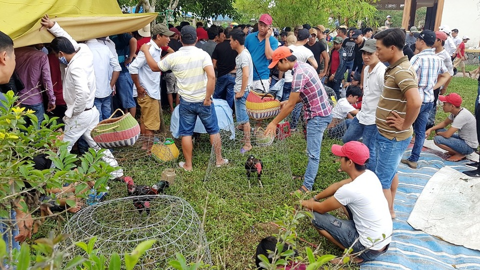 Độc đáo “Chợ quê ngày hội” cầu ngói Thanh Toàn - 4 Hội thi đá gà