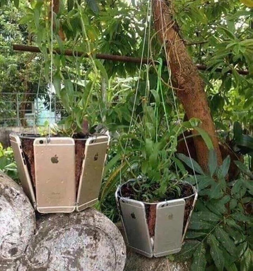 Chứng tỏ độ ăn chơi, con nhà giàu dùng cả tá iPhone làm chậu trồng cây cảnh - 1 Một tá iPhone mới cứng được ghép thành chậu để trồng cây cảnh.