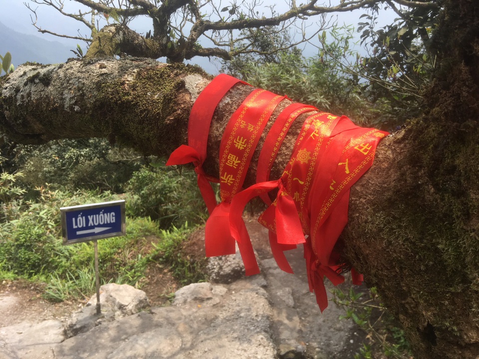 Ngỡ ngàng trước những dải băng lạ trên đường lên chùa Đồng - Yên Tử - 5 Những dài băng màu đỏ được buộc chi chít trên các cành cây, thân cây... dọc lối đi lên chùa Đồng. Ảnh: Tùng Long.
