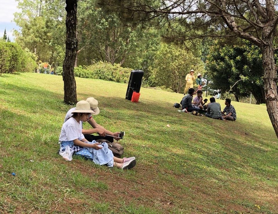 Du khách nườm nượp đổ về thành phố “trốn nóng” - 12 Đôi bạn trẻ đang selfie dưới tán thông