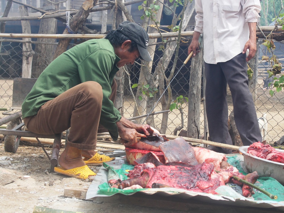 Độc đáo với “Lễ cúng cầu mưa” của bà con người Jrai - 3 Ngoài ra để cho lễ cúng cầu mưa thì dân làng phải mổ heo, bò và gà để dâng lên cho các vị thần linh