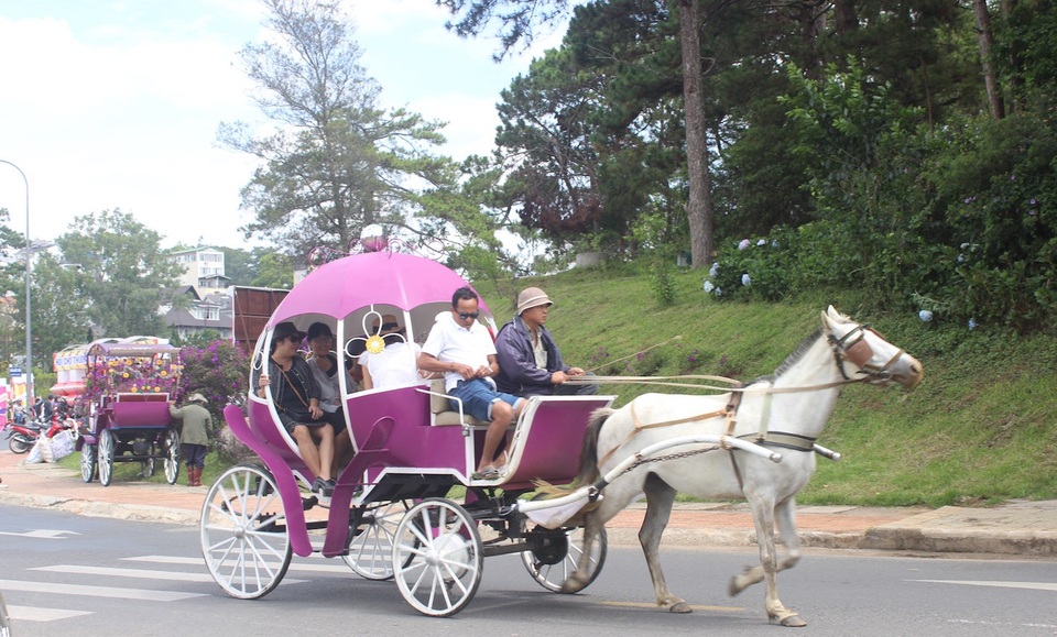Du khách nườm nượp đổ về thành phố “trốn nóng” - 10 Dịch vụ xe ngựa hút khách