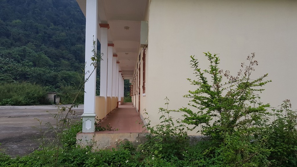 Hoang lạnh khu tái định cư cho người Đan Lai nơi đại ngàn! - 12 Cỏ cây mọc chui vào tận lớp học.