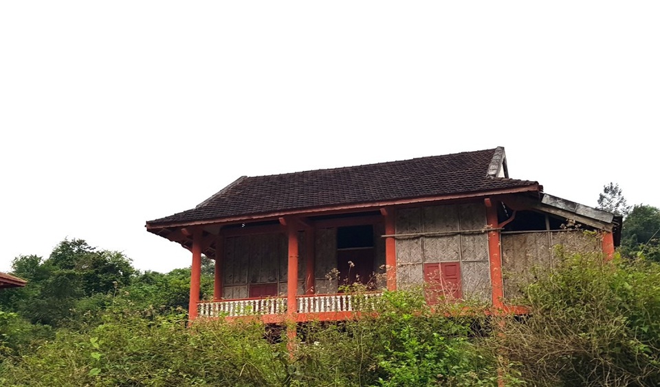 Hoang lạnh khu tái định cư cho người Đan Lai nơi đại ngàn! - 17 Cỏ cây bao trùm xung quanh các ngôi nhà.