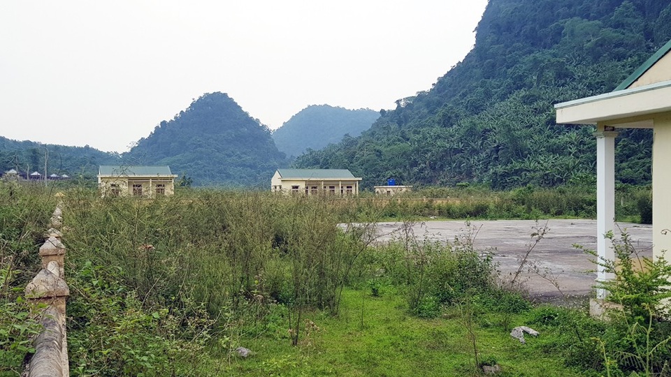 Hoang lạnh khu tái định cư cho người Đan Lai nơi đại ngàn! - 2 Cỏ cây mọc um tùm.