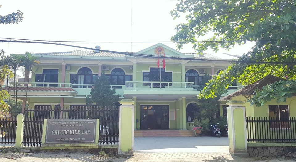 "Hồ sơ gốc của 3 cây “quái thú” được xác nhận đúng trình tự và thẩm quyền" - 2 Chi cục Kiểm lâm tỉnh Thừa Thiên - Huế kiểm tra hồ sơ gốc của 3 cây quái thú ban đầu đã kết luận là hồ sơ đầy đủ, được xác nhận đúng trình tự và đúng thẩm quyền
