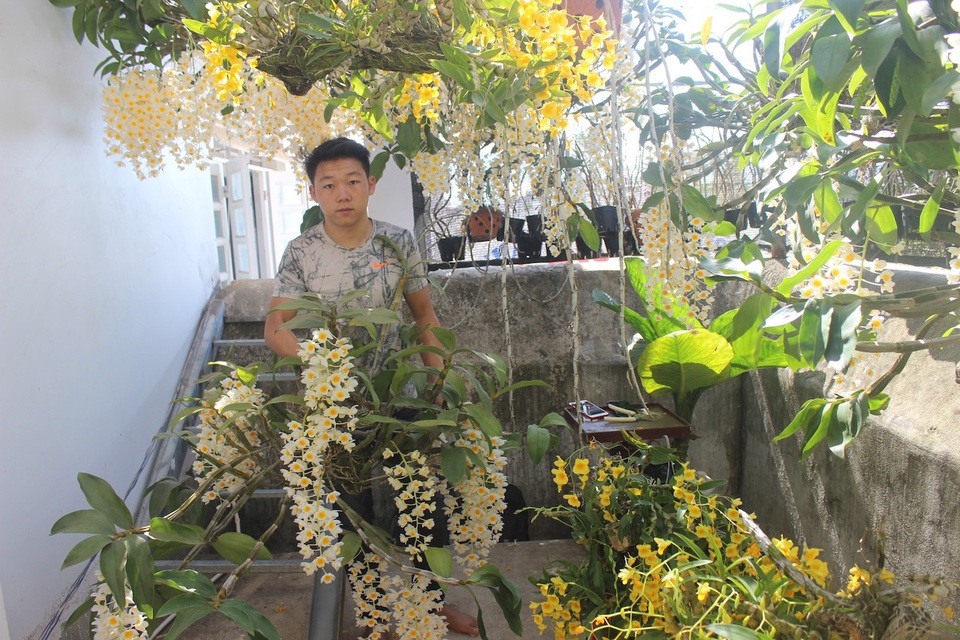 Mê lan rừng từ nhỏ, chàng quản lý 9x sở hữu vườn lan “khủng” - 1 Nguyễn Anh Sơn bên vườn lan khủng trĩu hoa của mình