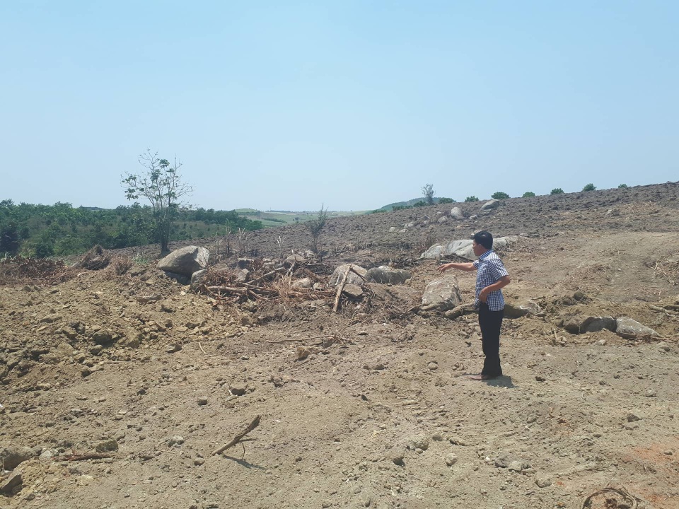 2 cây “quái thú” bị làm giả giấy tờ để đối phó? - 3 Ông Phạm Đình Thướng chỉ vị trí khai thác cây đa sộp của gia đình ông