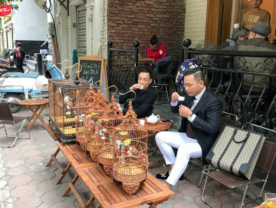 Ngắm chào mào bạch tạng “cực độc” giá 300 triệu của “ông vua chim màu” Việt Nam - 15 Anh Chương cho hay, anh đam mê chim cảnh từ bé nhưng do công việc kinh doanh bận rộn nên cách đây 14 năm anh mới có thời gian dành cho thú chơi này. Chính vì thế, dù sở hữu nhiều chú chim quý và được trả giá cao gấp nhiều lần nhưng anh chưa bao giờ đồng ý sang nhượng cho ai.
